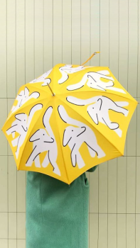 Печать зонти_4 Друк зонти_4