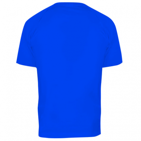 Чоловіча спортивна футболка Tiger demon