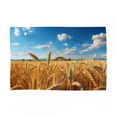 Колір Поле з хмаринками, Прапори - FATLINE