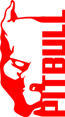 Шапка Pitbull 2