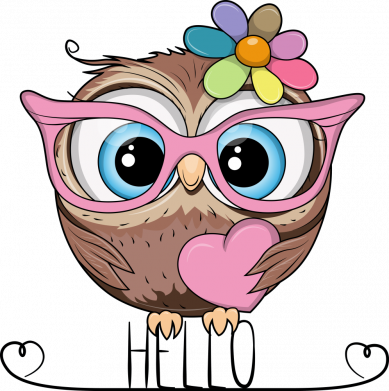 Принт Мужская футболка Stedman Hello owl, Фото № 2 - FATLINE