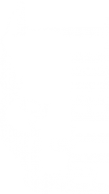 Футболка оверсайз FATLINE Pitbull 2