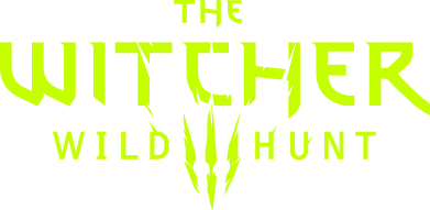 Свитшот унисекс Game of the Witcher 2