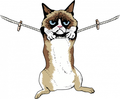 Принт Шопер XL Grumpy Cat On The Rope, Фото № 2 - FatLine