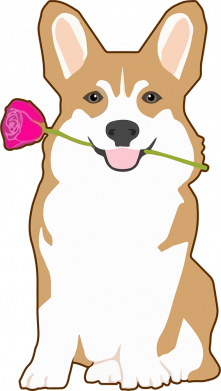Штаны Corgi With Flower 2