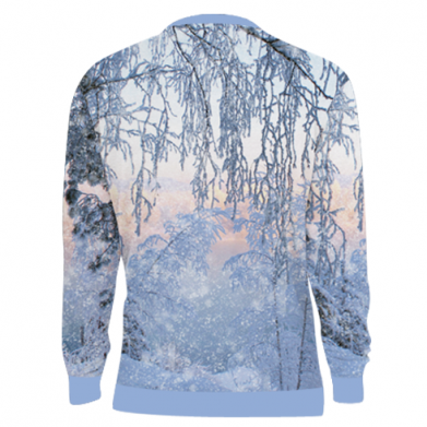 3D свитшот Winter Husky 2