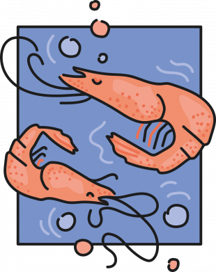 Свитшот унисекс Креветки 2