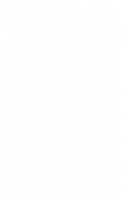 Принт Шеврон щит Emblem 15, Фото № 2 - FATLINE