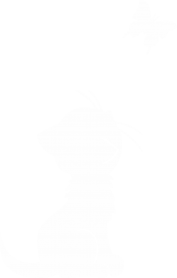 Дитяча футболка котик і метелик 2