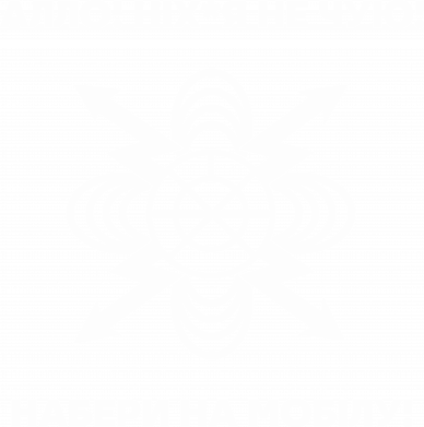 Принт Флаг Войска связи, Фото № 2 - FATLINE