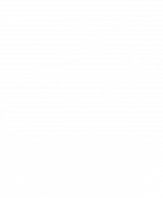 Женская футболка Акула на скейте 2