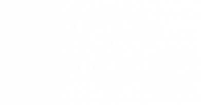 Чехол из раздела POP poshlaya molly logo для Apple iPhone 13 2