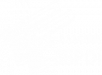 Футболка преміум жіноча FATLINE Власник зброї 2