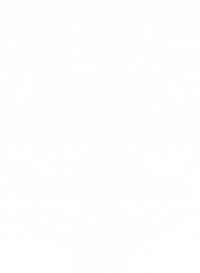 Жіноча футболка Найкращий гравець в хокей 2