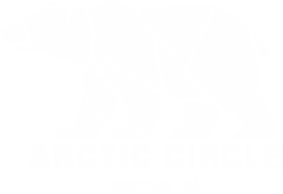 Бутылка металлическая Jumbo Полярный Круг 2