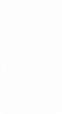 Повербанк 9000 mAh Unic Волшебные Звездные Грибы 2