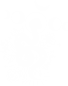 Женская футболка Мистическая Змея с фазами луны и цветами 2