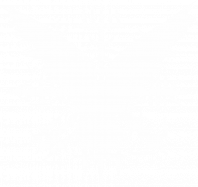 Принт Чоловіча футболка Gildan Ворон з рунами, Фото № 2 - FATLINE