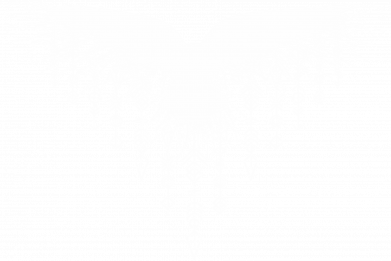 Чохол з розділу Скандинавські руни Ворон з рунами на крилах для Apple iPhone 15 Plus 2