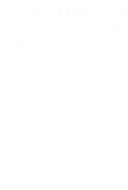 Мужская футболка Stedman Сертифицированный любовник 100% настоящая любовь 2