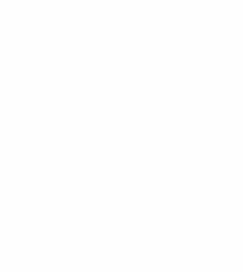 Худі унісекс Ракета-Дрон ПАЛЯНИЦЯ 2