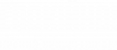 Мультитул Працює профістіонал 2