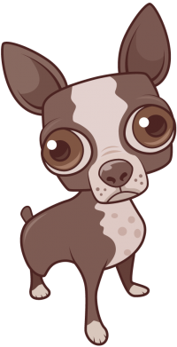 Женская футболка Чихуахуа 2