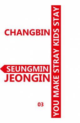 Принт Футболка преміум жіноча FATLINE stray kids учасники, Фото № 2 - FATLINE