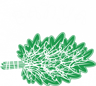 Мужская футболка Stedman Баня 2