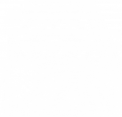 Мужская футболка Stedman Енот водитель за рулем 2