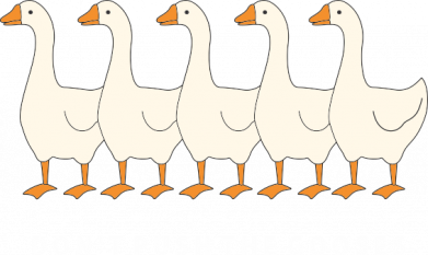 Чоловіча футболка Stedman Don't push the gooses! 2