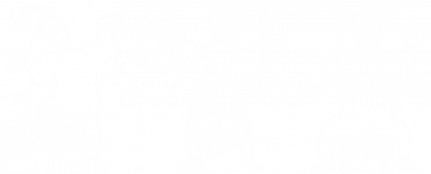 Термос Camp Єнот-Брейкбанда 2