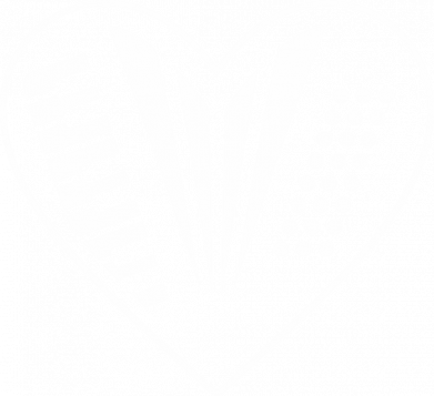 Мужская футболка Stedman Аккордиониста 2