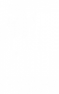 Чоловіча спортивна футболка stranger things max 2