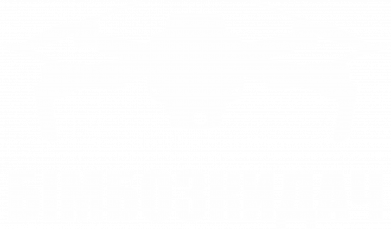 Чоловіча футболка Gildan Бімбозкидач 2