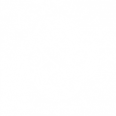 Футболка для собаки Celtic Dragon and Runes 2