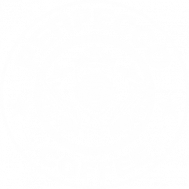 Мужская футболка Stedman Репрессо Ким Чен Ын 2