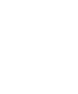 Жіноча футболка Череп з рогами 2