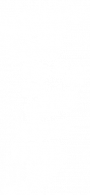 Мужские шорты Godzilla text logo 2