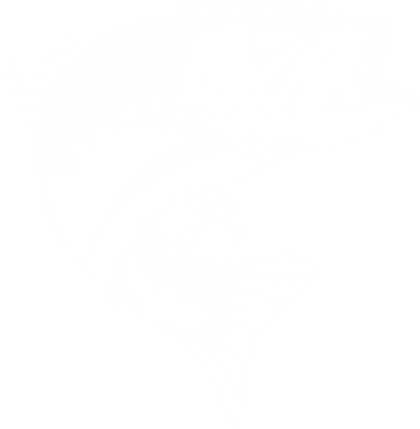 Чохол з розділу Хобі Fish для Oppo K9 2