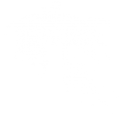 Женская футболка Deer and dementor 2