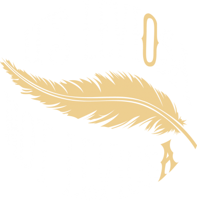 Чохол з розділу Гаррі Поттер It's leviOsa, not leviosA для Xiaomi Redmi Note 9 5G/Redmi Note 9T 2