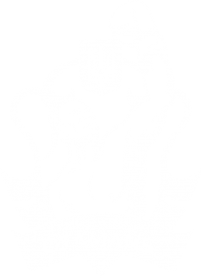 Футболка оверсайз FATLINE Ukraine otamans 2