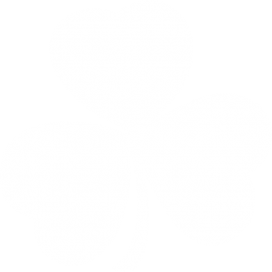 Термобутылка Viano Clover 2