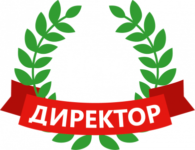 Принт Мужская худи Его величество - директор, Фото № 2 - FATLINE
