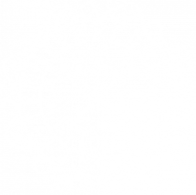 Принт Блокнот двухцветный Вегвизир рунический компас руны Vegvisir, Фото № 2 - FATLINE