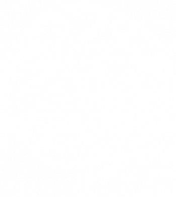 Мужская футболка Stedman House Of The Dragon Logo 2