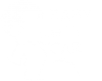 Дитяча футболка Baby in car 2