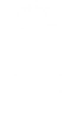 Худи облегченное Scorpio 2