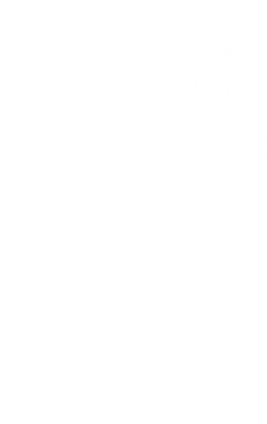 Принт Свитшот для собаки Snake, Фото № 2 - FATLINE